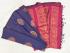 PL Softee Saree
